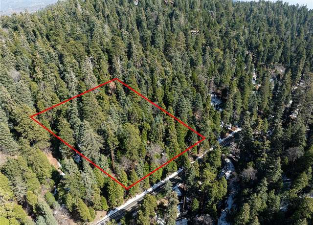 Property at 29629 Little Bear Creek Rd, Cedar Glen, CA 92321