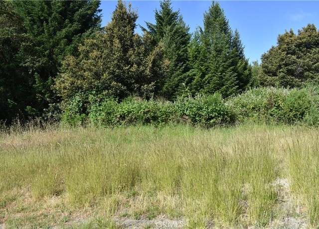 Property at 0 Briceland Rd, CA 95589