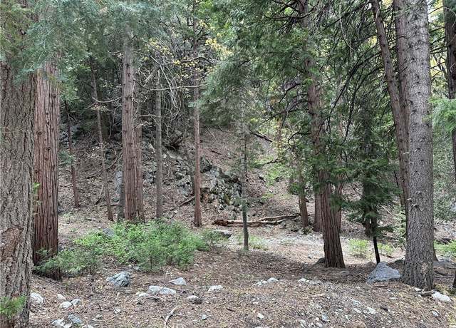 Property at 0 Canyon Dr, Forest Falls, CA 92339