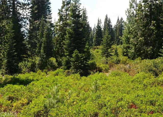 Property at 0 Echo Way, Mccloud, CA 96057