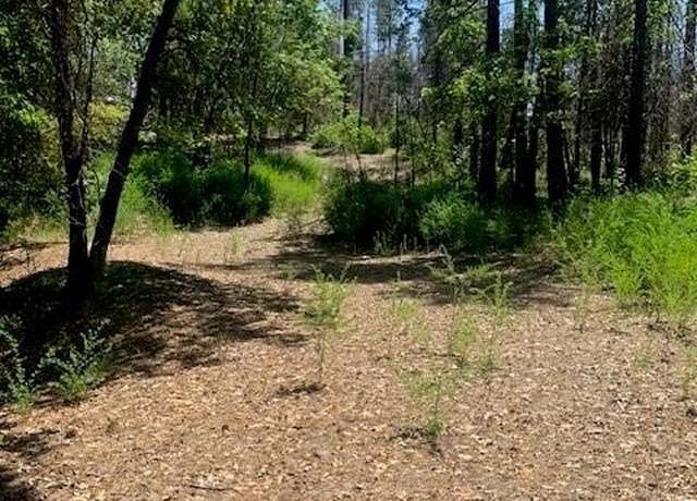 Property at 0 Sandy Springs Ln, Berry Creek, CA 95916