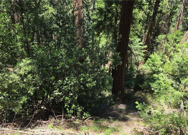 Property at 0 Deer Run Rd, Cedarpines Park, CA 92322