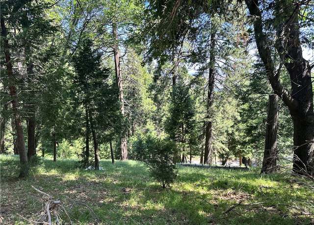 Property at 0 Bone Dr, Cedarpines Park, CA 92322