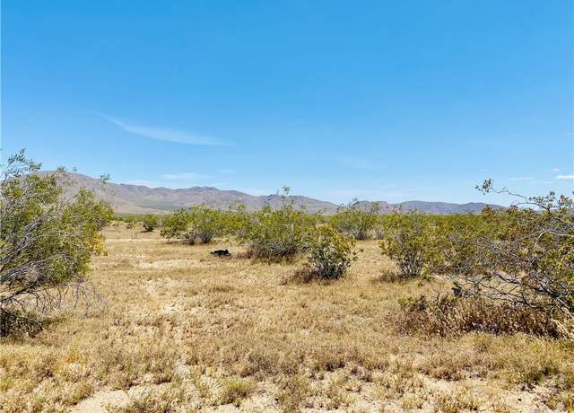 Property at 19555 Jackson Ave, Apple Valley, CA 92307