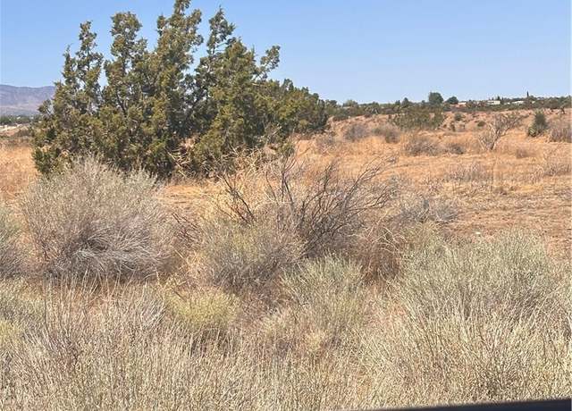 Property at 0 Beekley Rd, Pinon Hills, CA 92372