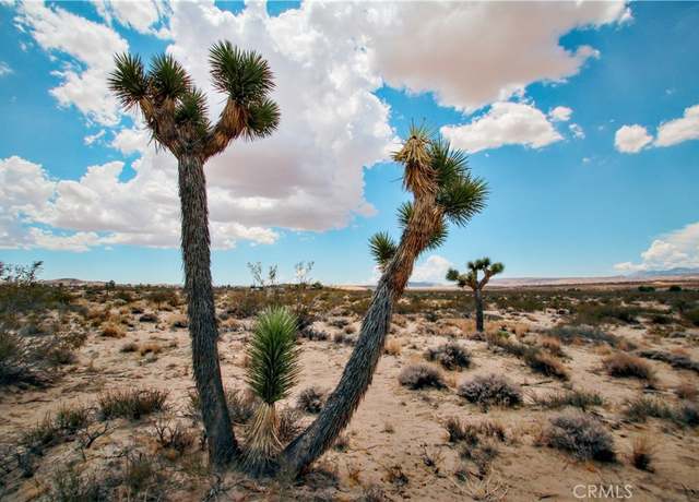 Property at 0 Easton Rd, Landers, CA 92285
