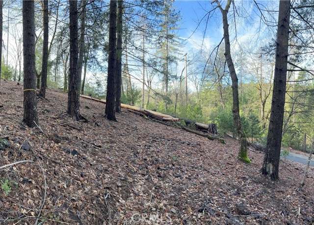 Property at 10280 Mulberry St, Loch Lomond, CA 95461