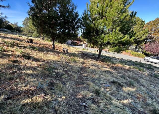Property at 7826 Evergreen Dr, Kelseyville, CA 95451