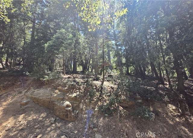 Property at 0 Mojave River Rd, Cedarpines Park, CA 92322