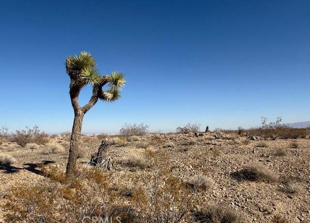 Property at 2160 Juniper Ave, Joshua Tree, CA 92252