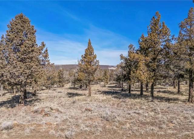 Property at 0 Canyon Rd, Alturas, CA 96101