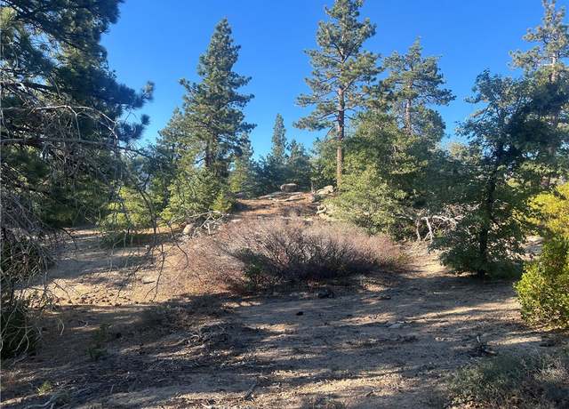 Property at 45 Deep Creek Dr, Running Springs Area, CA 92382