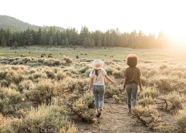 Property at 34300 Holcomb Valley Rd, Fawnskin, CA 92333