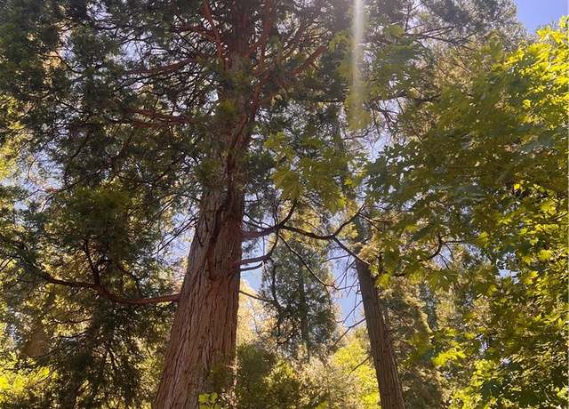 Property at 0 Nesthorn, Crestline, CA 92325