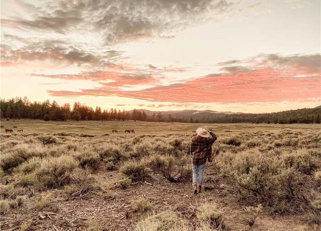 Property at 0 Holcomb Valley Rd, Fawnskin, CA 92333