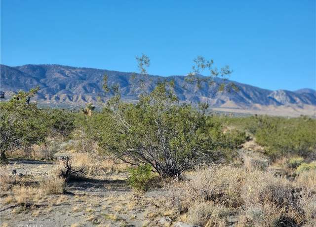 Property at 0 Buckwheat Rd, Pinon Hills, CA 92372