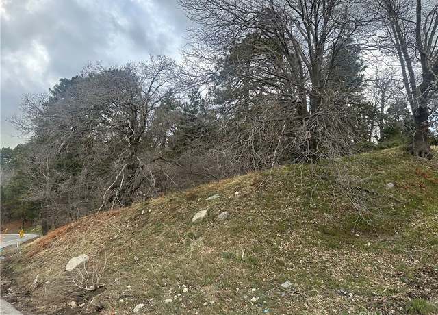 Property at 0 Torrey Rd, Cedar Glen, CA 92321