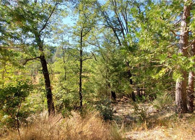 Property at 12147 Western Pine Rd, Loch Lomond, CA 95461