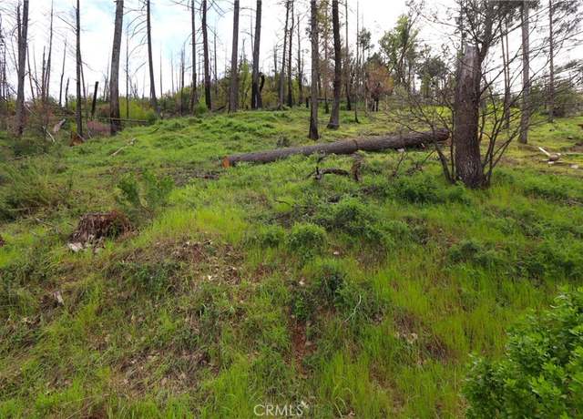 Property at 11541 Anderson Springs Rd, Middletown, CA 95461