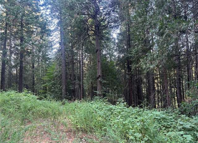 Property at 6418 Hupp Coutolenc Rd, Magalia, CA 95954