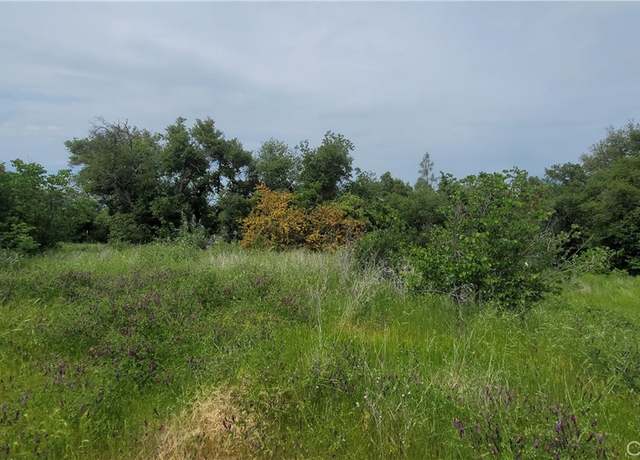 Property at 27048 Lack Creek Dr, Shingletown, CA 96088