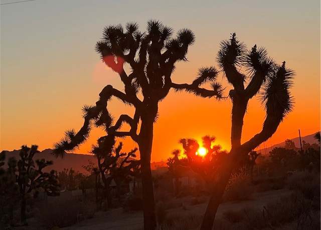 Property at 4390 Balsa Ave, Yucca Valley, CA 92284