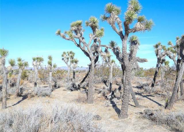 Property at 0 W AVE 12, Llano, CA 93544