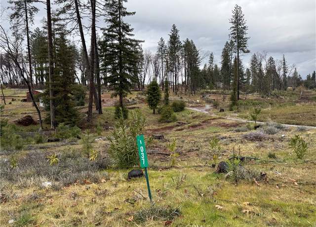 Property at 1037 Thomasson Ln, Paradise, CA 95969