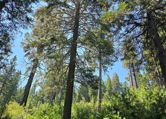 Property at 0 Lovers Ln, Cedarpines Park, CA 92322