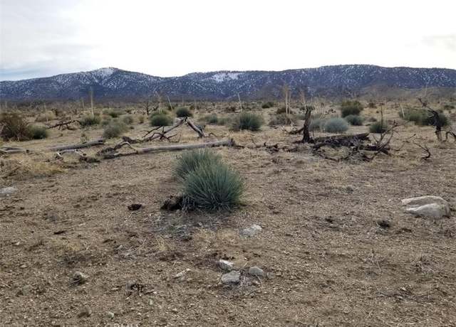 Property at 260 Avenue Z14/260 Ste, Llano, CA 93544