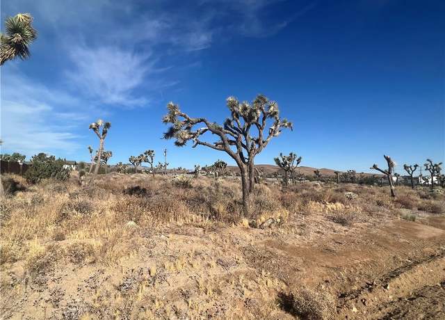 Property at 111 Wallaby, Yucca Valley, CA 92284