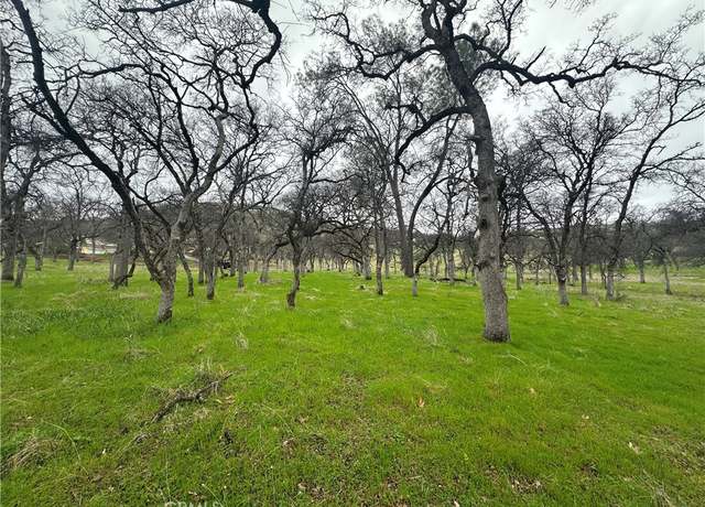 Property at 0 Royal Mountain Rd, Butte Valley, CA 95965