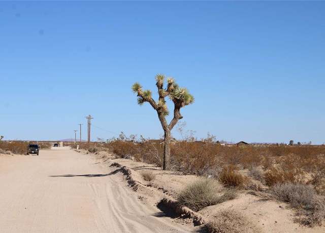 Property at 3465 Porter Blvd, Joshua Tree, CA 92252