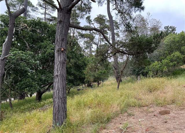Property at 0 Norton Ln, Cambria, CA 93428