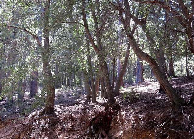 Property at 34 Mojave River Rd, Cedarpines Park, CA 92322