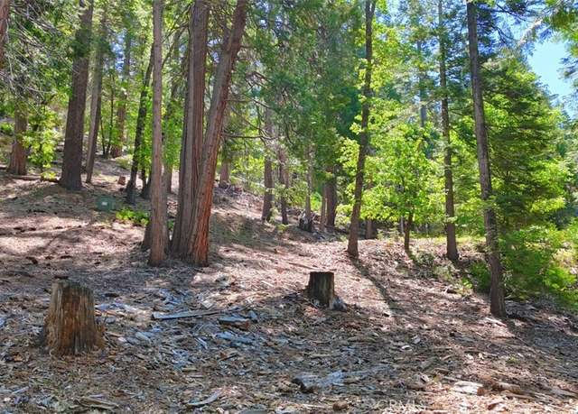Property at 7220 Yosemite Park Way, Yosemite, CA 95389