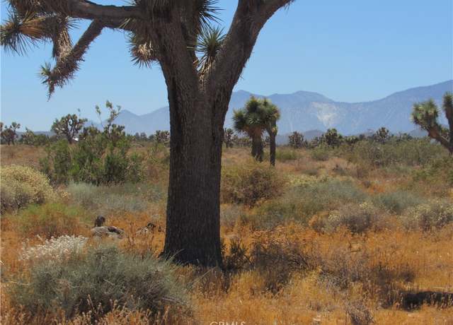 Property at 0 Goss Rd, Phelan, CA 92371