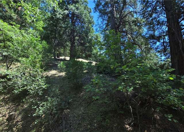 Property at 22494 Mojave River Rd, Cedarpines Park, CA 92322
