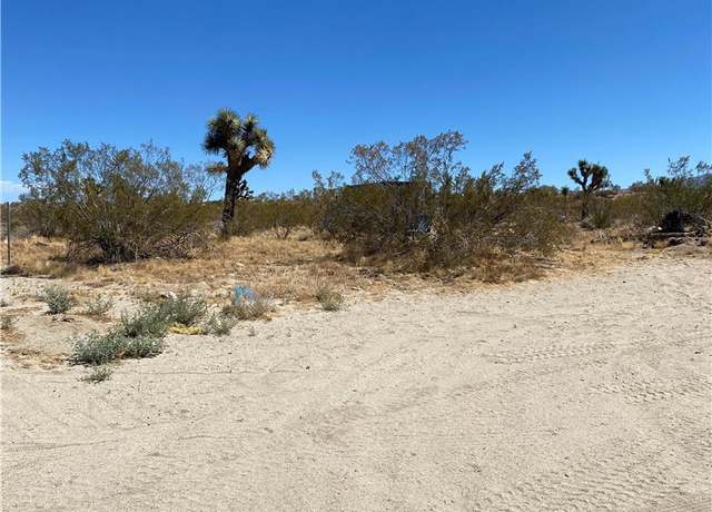 Property at 0 Arena Rd, Pinon Hills, CA 92372