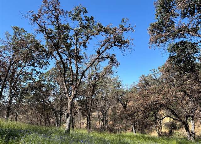 Property at 5358 Mariposa Heights Rd, Mariposa, CA 95338