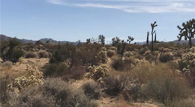 Photo of 0 Juniper Rd, Joshua Tree, CA 92252