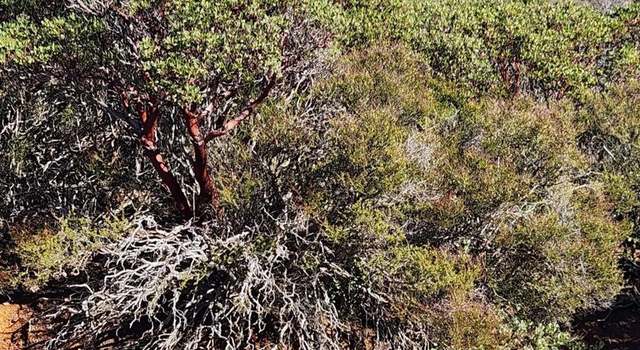 Photo of 0 Kentwood in the Pnes, Julian, CA 92036