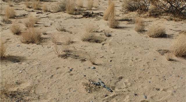 Photo of 57926 Botkin Rd, Landers, CA 92285