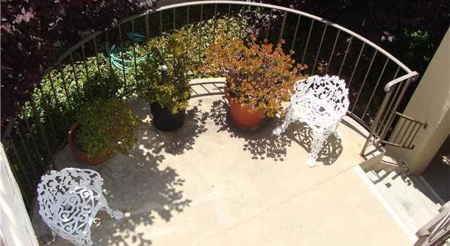 Photo of 1035 Ficus Ln, San Marcos, CA 92069