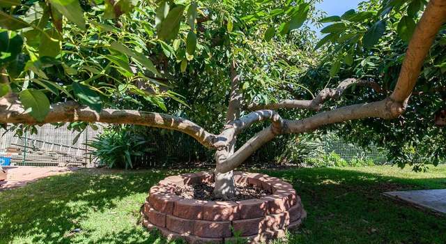 Photo of 8590 Palm St, Lemon Grove, CA 91945