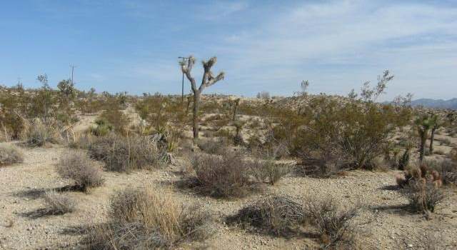 Photo of 7275 Alturas Dr, Joshua Tree, CA 92252