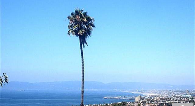 Photo of 328 CALLE MAYOR, Redondo Beach, CA 90277