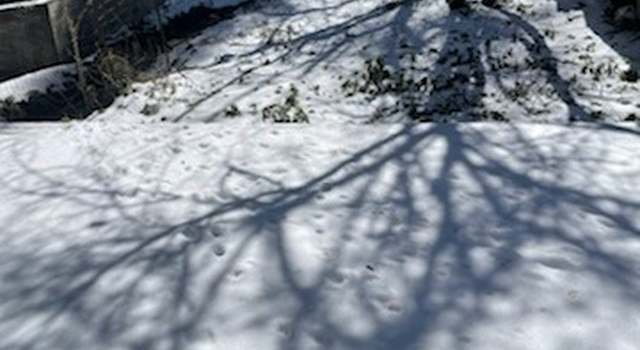 Photo of 23035 Waters Dr, Crestline, CA 92325