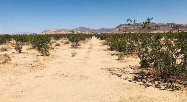 Photo of 0 Near Dusty Mile Rd, Landers, CA 92285
