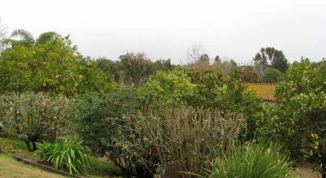Photo of 1347 Cana Ln, Fallbrook, CA 92028